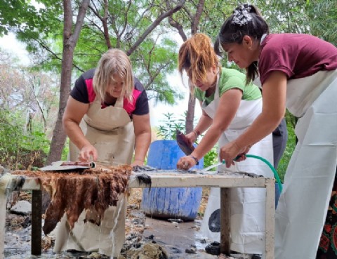 Emprendimiento de la provincia fue postulado a un concurso nacional