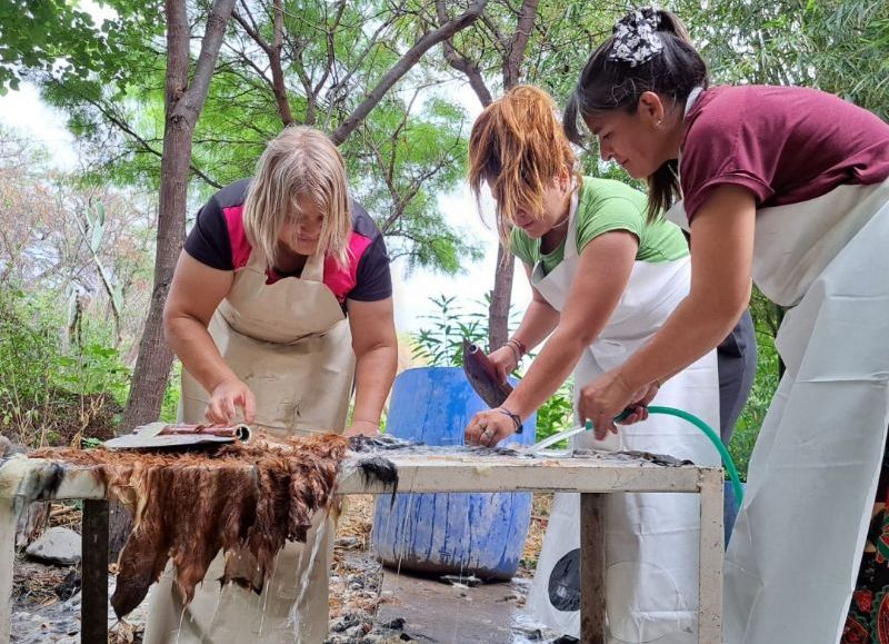 Emprendimiento de la provincia fue postulado a un concurso nacional